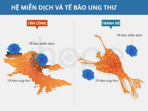 ung thu mien dich