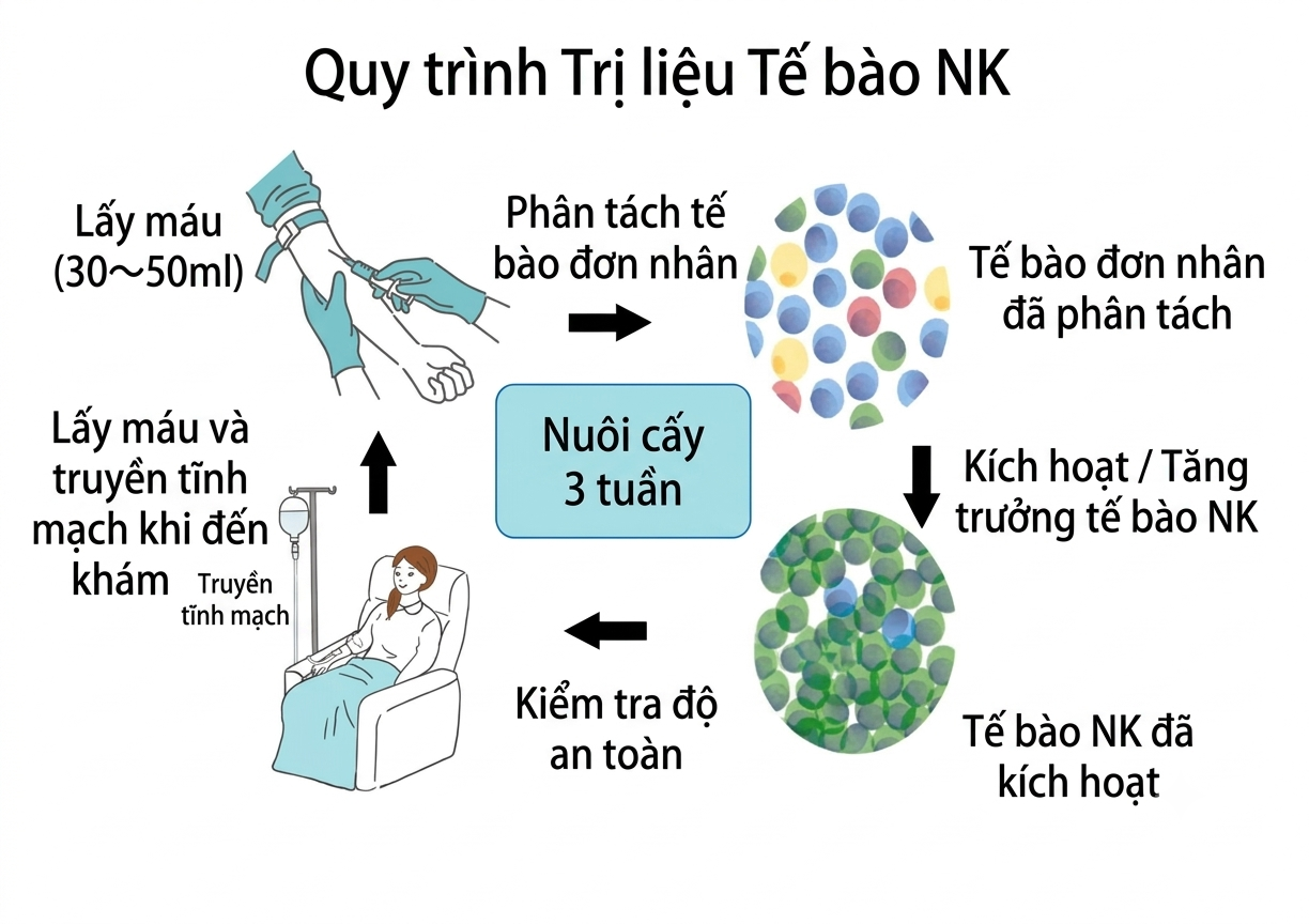 Sơ đồ quy trình trị liệu tế bào NK nuôi cấy 3 tuần